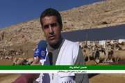  'گزارش عملیات دامپزشکی در واکسیناسیون رایگان دام های عشایری رومشکان 